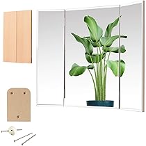 Amazon.co.jp: 三面鏡 壁掛け クイーン 36×60cm（全開72cm